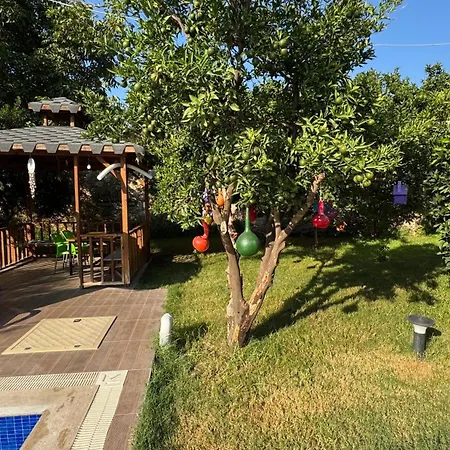 Eylül *